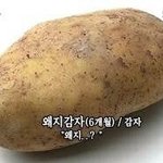 <b>가즈</b>아가 뭐야??