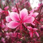 사진 좀 잘 찍지않았어?