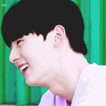 솔직히 워너원 데뷔할때