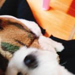 [드루와] 알약 잘넘기는사람 있냐 <b>젭알</b>