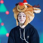 [EXO] 짤<b>털털</b><b>털털</b>