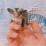 [방탄소년단] 아 갑자기 너무 보고싶다