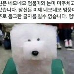 얘들아 <b>간지</b>나는 크아닉 추천좀 ㄹㅎ