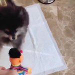 [방탄소년단] 헐ㅋㅋㅋㅋㅋ이게 <b>잠옷</b>이였다니...(선물인증)