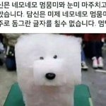[드루와] <b>니</b>네 가족이랑 싸우고나서 얼마나 <b>말</b> 안해