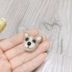 전국단위자사고면 몰라도 <b>지역</b>단위자사고는 가지마