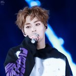 [EXO] 멍멍이해를 맞아 엑소가 단체로 몽몽이<b>헤어</b> 하고