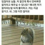 요즘에 얼<b>평글</b> 왜이러케 많이올라옴?