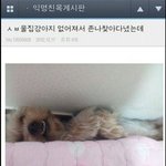 [댓글부탁해] 내 친구중에 <b>자존</b>감 되게 높은애 있는데