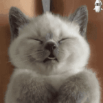 민지야~<b>자자</b>