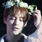 [EXO] 화관슈<b>vs</b>전야슈