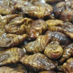 [추반] 이거 좋아하는 사람??