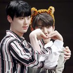 [박우진] 우지니 <b>호랭이</b> 새로뜬 과질인데 ㅠㅠ눈물나