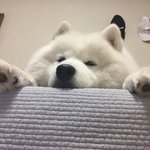 [댓글부탁해] 나 이상해 감정기복때문에 <b>일상</b>생활이 안돼