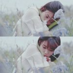 [댓글부탁해] 이거 안좋은 꿈이야?