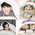 [시우민] 시우민 <b>이불밖</b> 패러디ㅋㅋㅋㅋㅋㅋㅋㅋㅋㅋ