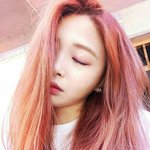 귀짤본사람 들어와라 <b>정화</b>짤