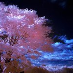 여기 <b>밤낮</b> 다시 바꾸려고 밤새는애들있냐