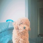 너네 <b>동갑</b>중에 진짜 삭은애 본적 있음?