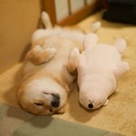 공부할때 폰안하는 <b>꿀팁</b>알려줌