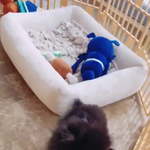 [방탄소년단] 태형이 <b>개통</b>령님 개방석 구입했구나