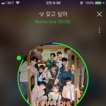 [워너원] ⬇️⬇️아래글 여기서 봐 댓글있음⬇️⬇️