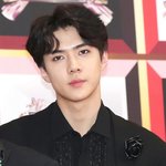 [세훈] <b>재미</b>로 보는 후니 2018년 운세기사