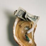 [댓글부탁해] 이걸로<b>배사</b>하는거 ㅇㄸ