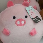 너희 방학 어떻게 지내고있어?