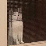 [드루와] 지금 괜히 겁주는애들 있는데