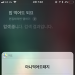 아이폰 <b>시리</b>도 틀리는 맞춤법