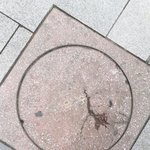 판녀들이좋아하는<b>오수</b>실물봄~~!~!