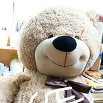 [EXO] 우리<b>집</b>에 슈밍곰<b>돌</b>있었음