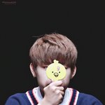 [박우진] 얘들아...ㅊㅇㄷ말이야...