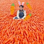 [방탄소년단] <b>당근나라</b> <b>당근</b>왕자 꾹