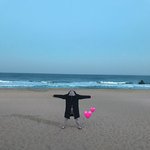 이상형 <b>추반</b> 하자