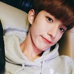 [세븐틴] 모든 캐로<b>시들</b> 갤러리에 있을것같은짤올려보자