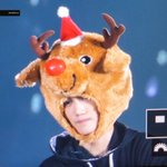 [EXO] <b>여</b><b>돌</b>들은 이런거 주면 뒤집어씀?