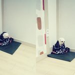 감자와 촬스의 견생역전 4탄