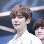 [EXO] 올해는 이거보다 더 <b>다크</b>힌 컨셉 원한다