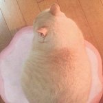 하나님 부처님 <b>알라</b>님 천지신명님