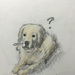 댄스<b>팀</b> <b>의상</b> 추천 좀