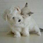 민지야 보고<b>시포</b>...