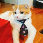 얘들아 굿<b>나잇</b>
