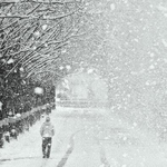 [너가봤으면] 그래도 너가 봤으면