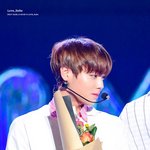 [박지훈] <b>밤톨</b> 윙깅