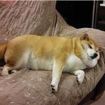 [드루와] ㅣ애더라애더라 나 다이소<b>퍼프</b>추처좀ㅠㅠ