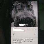 [드루와] ㅇㄴ동생이 내연락처 <b>하마</b>로 설정해놈 ;;