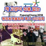 이번주 일요일 개고양이 식용 없는 평창동계올림픽 촉구 시민집회가...