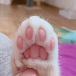 [댓글부탁해] 이거 내가 잘못 한거야?